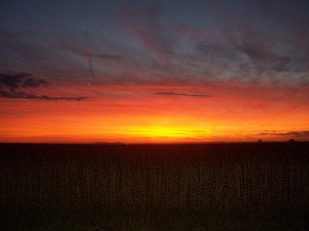 2008: Autumn Sunset in Coles County